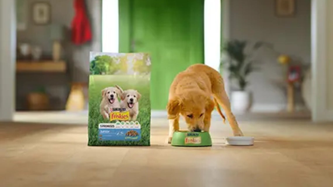 Friskies pes Junior