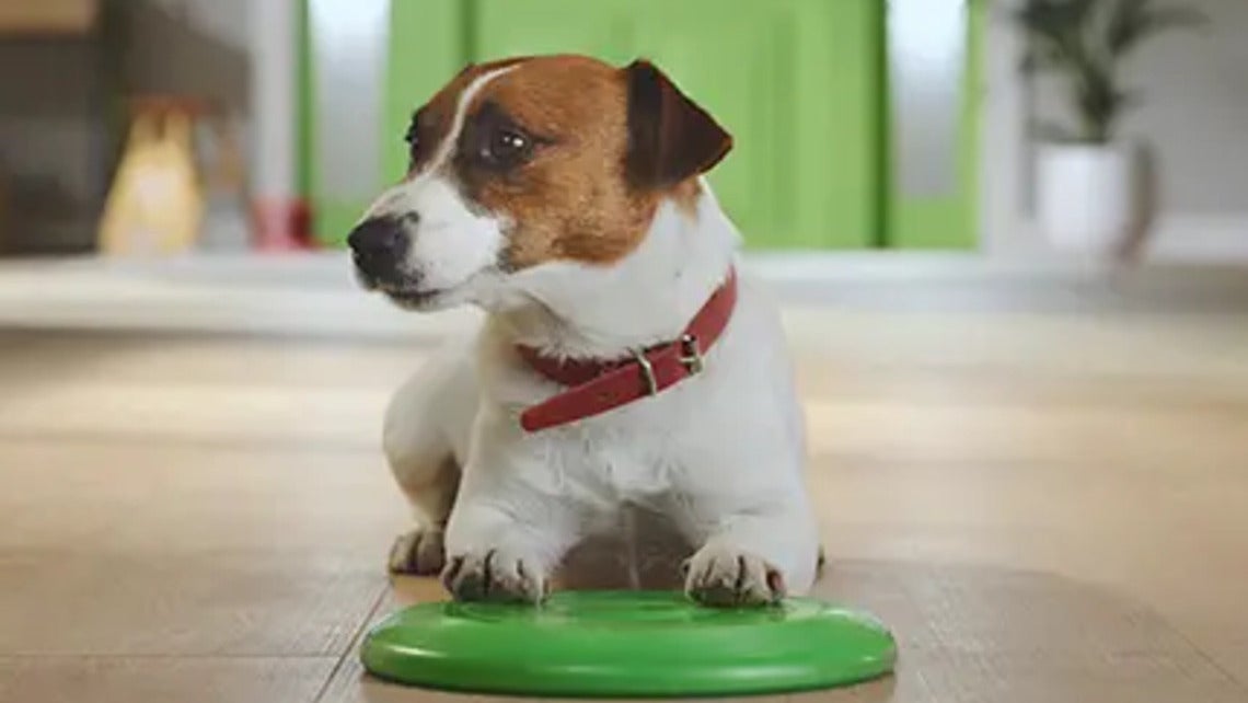 Friskies Dog Mini