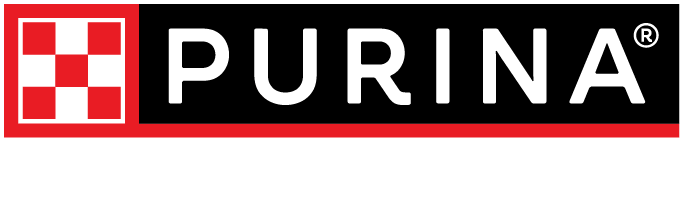 Vaš ljubljenec, naša ljubezen.