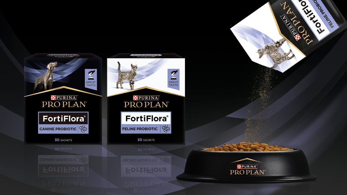 proplan products