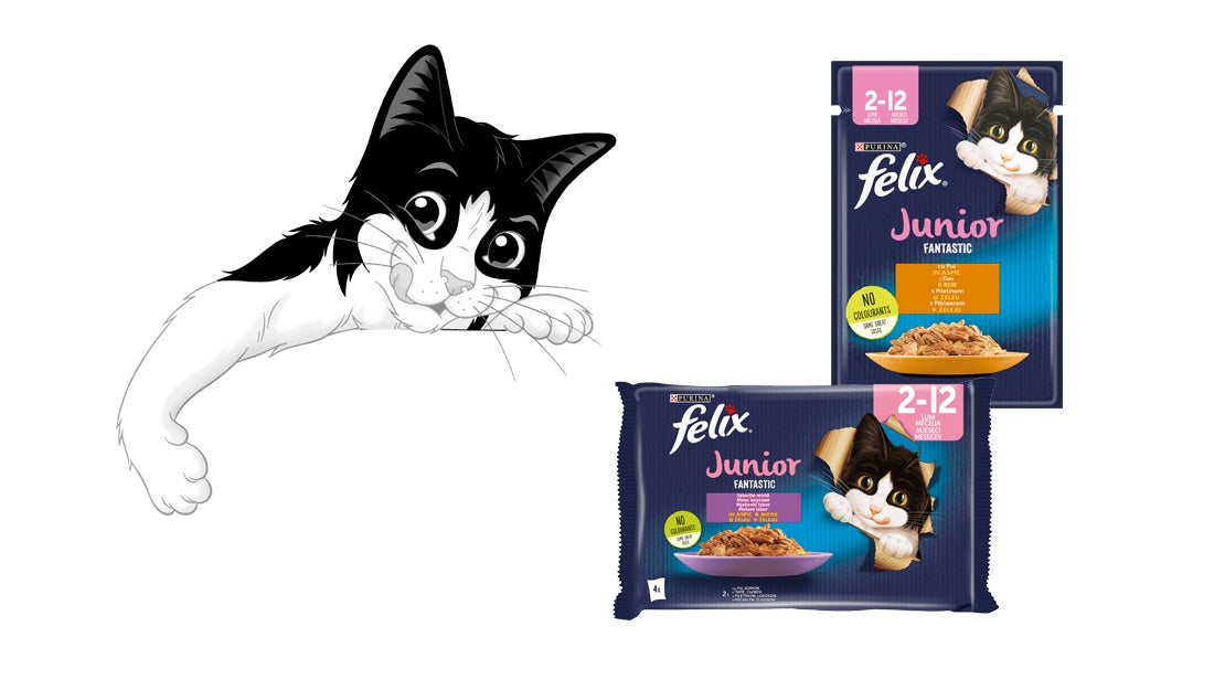 purina felix junior