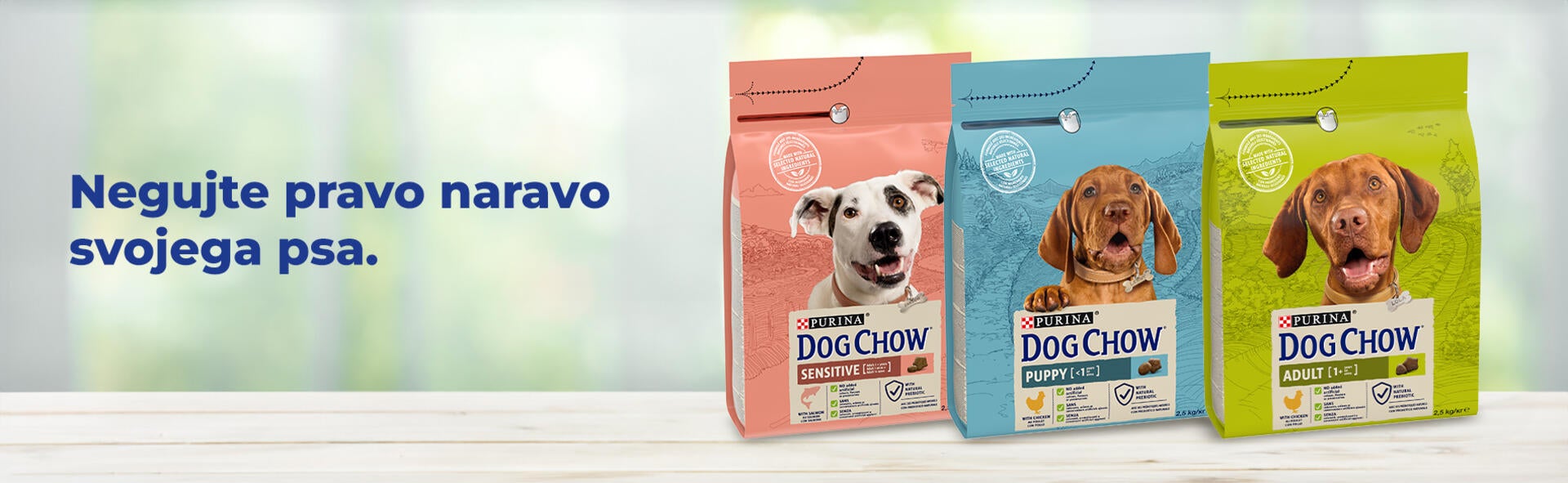 dog chow