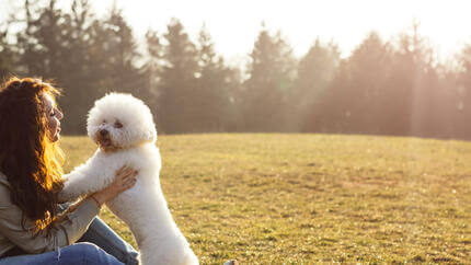 Bichon Frise z lastnikom