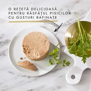 GOURMET Gold, pašteta, Govedina, mokra hrana za mačke