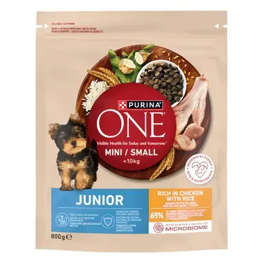 ONE MINI JUNIOR