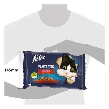 felix fantastic