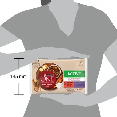 Purina One Active
