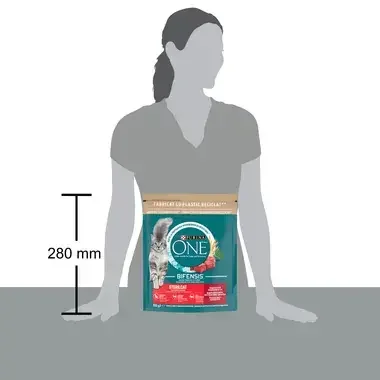 Purina One
