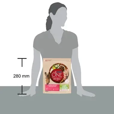 Purina One 