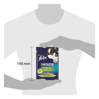 felix fantastic