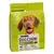 DOG CHOW ADULT, jagnjetina, suha hrana za odrasle pse srednje velikih pasem