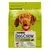 dog chow