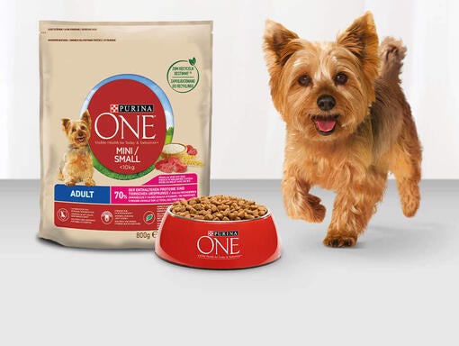 PURINA ONE pes suha hrana