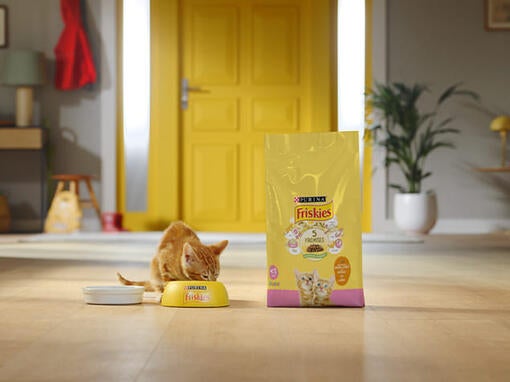 Friskies življenjska doba mačke