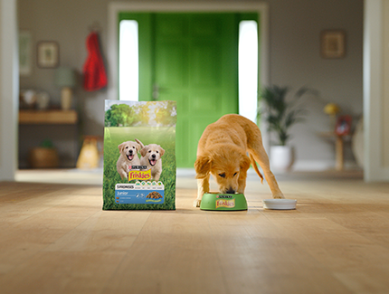 Friskies življenjska doba