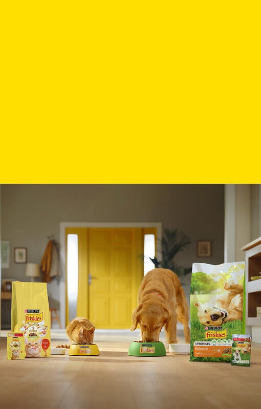 Friskies za mačke in pse