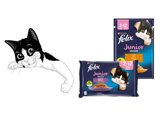 purina felix junior