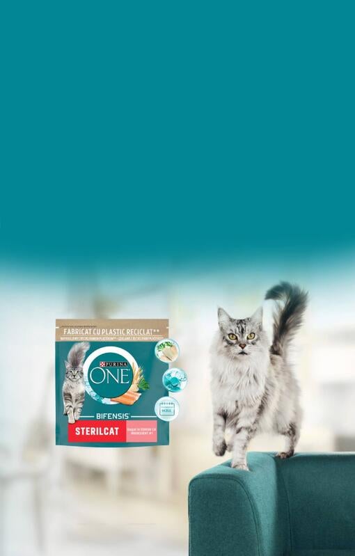purina one