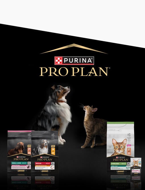 purina 