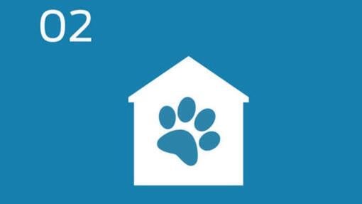 infographic house and paw