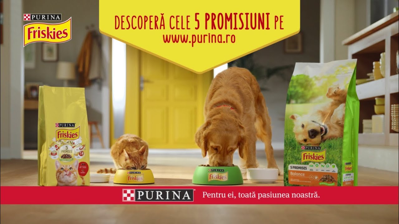 5 promesses Friskies®